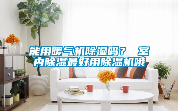 能用暖氣機除濕嗎？ 室內除濕最好用除濕機哦