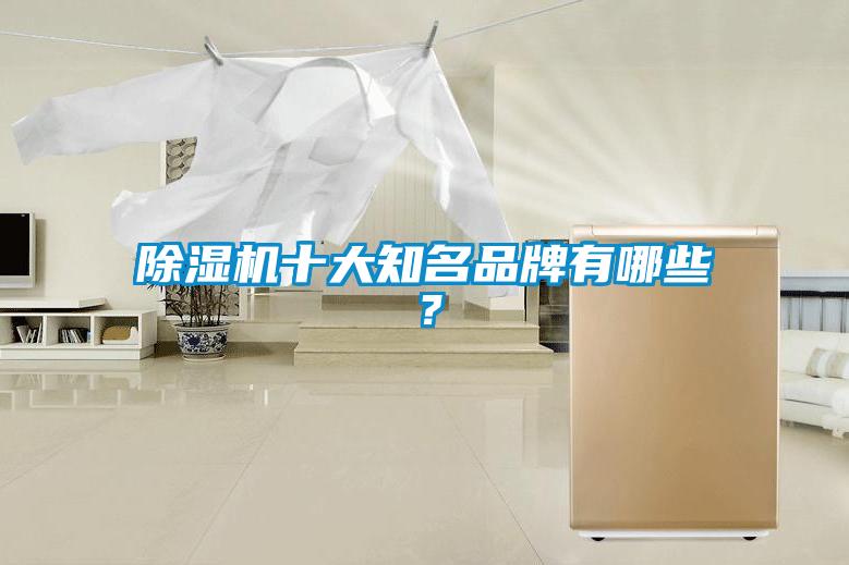 除濕機十大知名品牌有哪些？