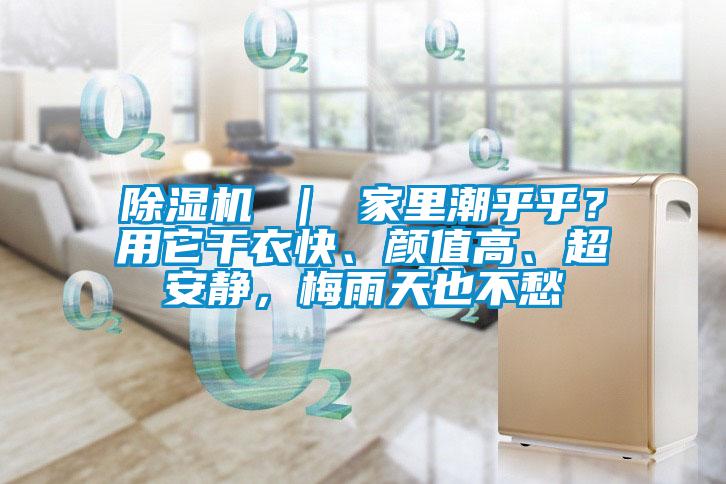 除濕機 ｜ 家里潮乎乎？用它干衣快、顏值高、超安靜，梅雨天也不愁