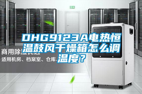 DHG9123A電熱恒溫鼓風(fēng)干燥箱怎么調溫度？