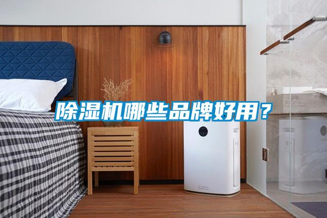 除濕機哪些品牌好用？