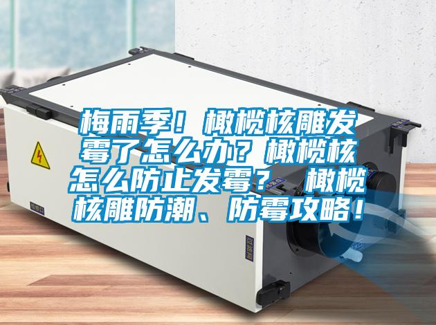 梅雨季！橄欖核雕發(fā)霉了怎么辦？橄欖核怎么防止發(fā)霉？ 橄欖核雕防潮、防霉攻略！