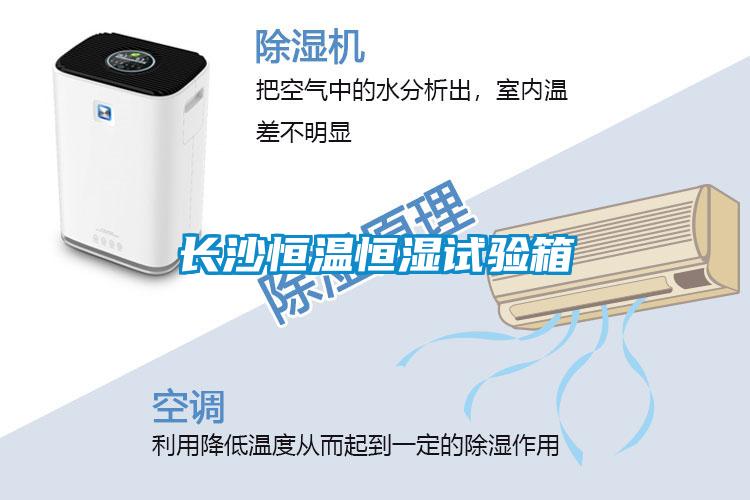 長(cháng)沙恒溫恒濕試驗箱