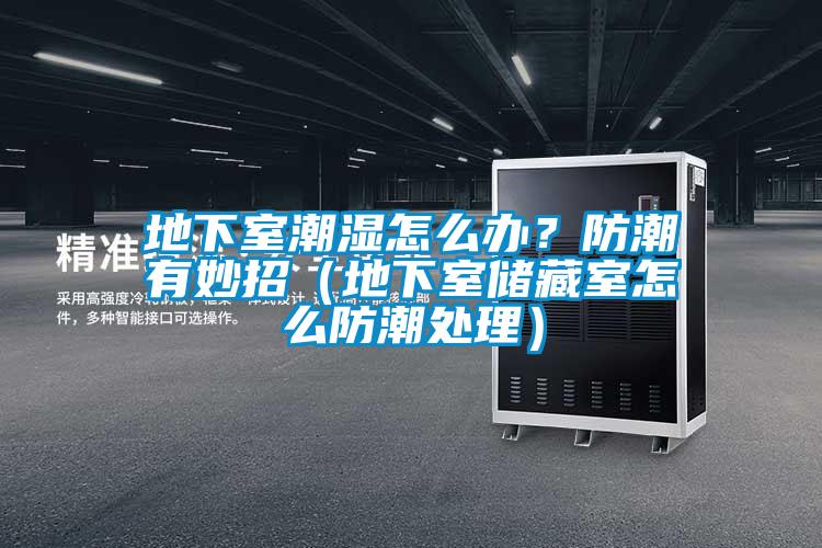 地下室潮濕怎么辦？防潮有妙招（地下室儲藏室怎么防潮處理）