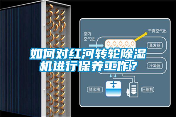 如何對紅河轉輪除濕機進(jìn)行保養工作？