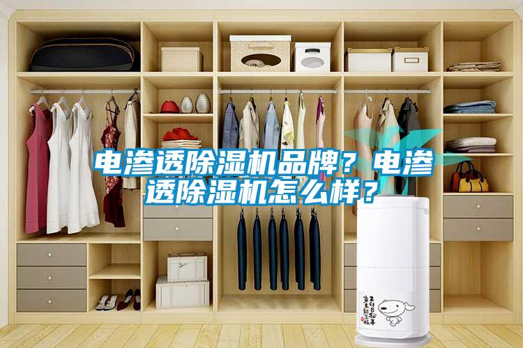 電滲透除濕機品牌？電滲透除濕機怎么樣？