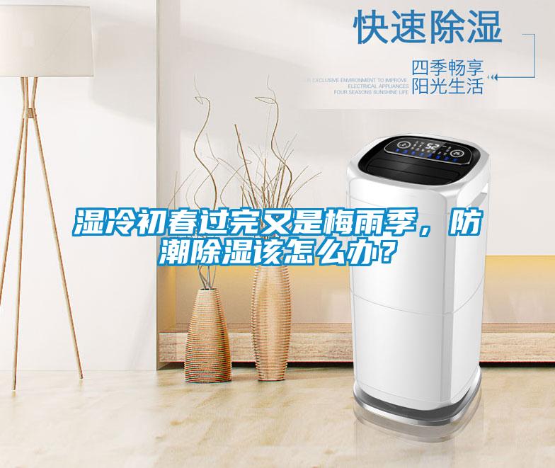 濕冷初春過(guò)完又是梅雨季，防潮除濕該怎么辦？