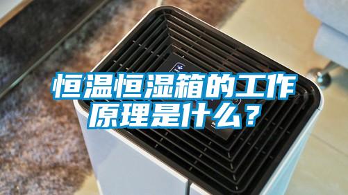 恒溫恒濕箱的工作原理是什么？