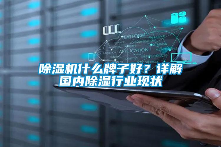 除濕機什么牌子好？詳解國內除濕行業(yè)現狀