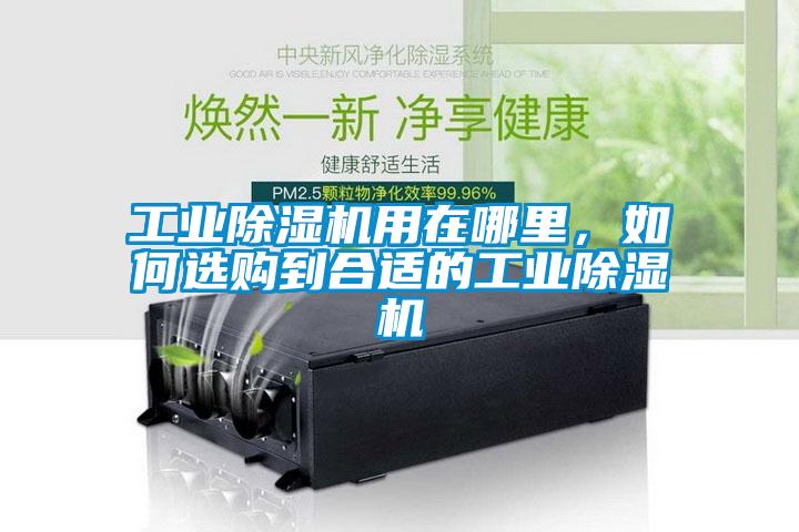 工業(yè)除濕機用在哪里，如何選購到合適的工業(yè)除濕機