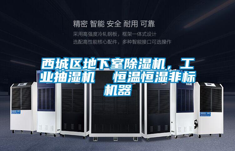 西城區地下室除濕機，工業(yè)抽濕機  恒溫恒濕非標機器