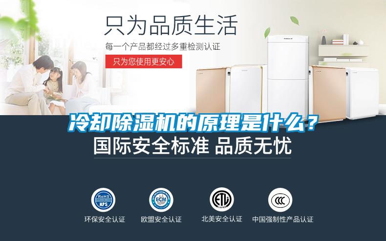 冷卻除濕機的原理是什么？