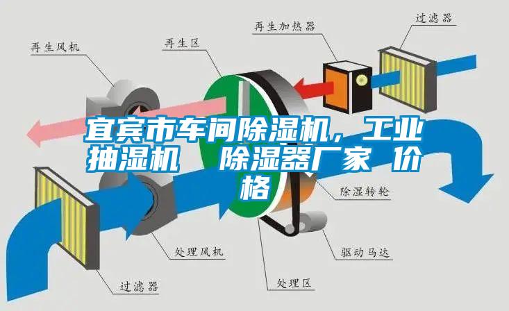 宜賓市車(chē)間除濕機，工業(yè)抽濕機  除濕器廠(chǎng)家 價(jià)格