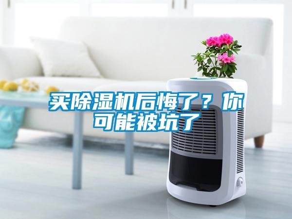 買(mǎi)除濕機后悔了？你可能被坑了
