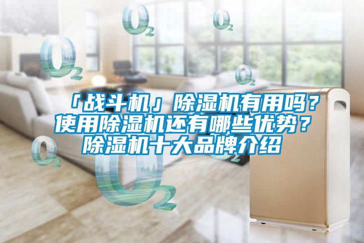 「戰斗機」除濕機有用嗎？使用除濕機還有哪些優(yōu)勢？除濕機十大品牌介紹