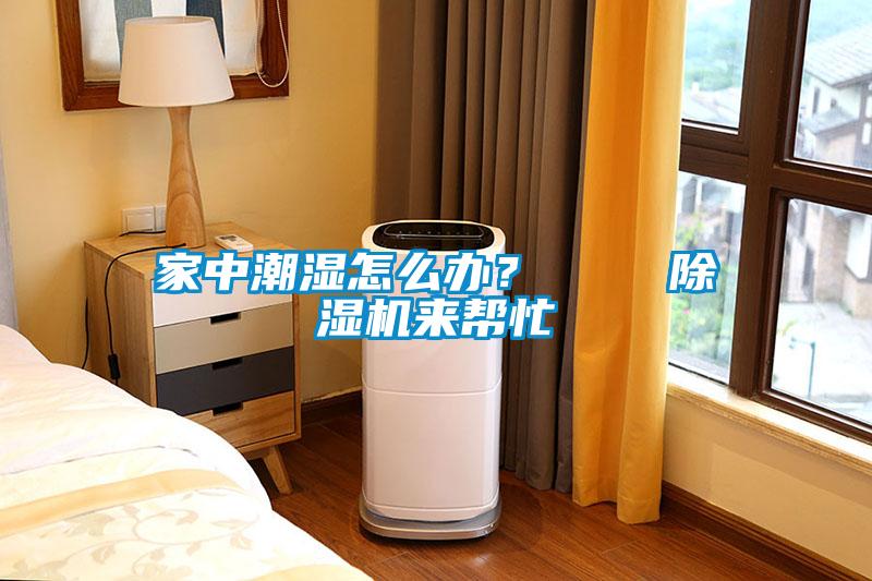 家中潮濕怎么辦？    除濕機來(lái)幫忙