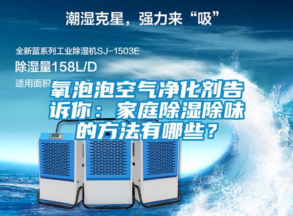 氧泡泡空氣凈化劑告訴你：家庭除濕除味的方法有哪些？