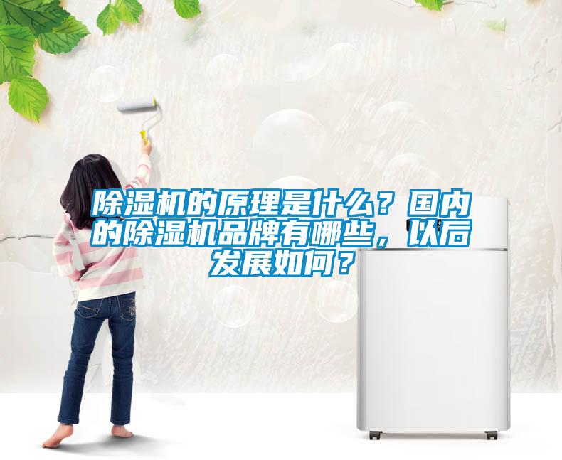 除濕機的原理是什么？國內的除濕機品牌有哪些，以后發(fā)展如何？