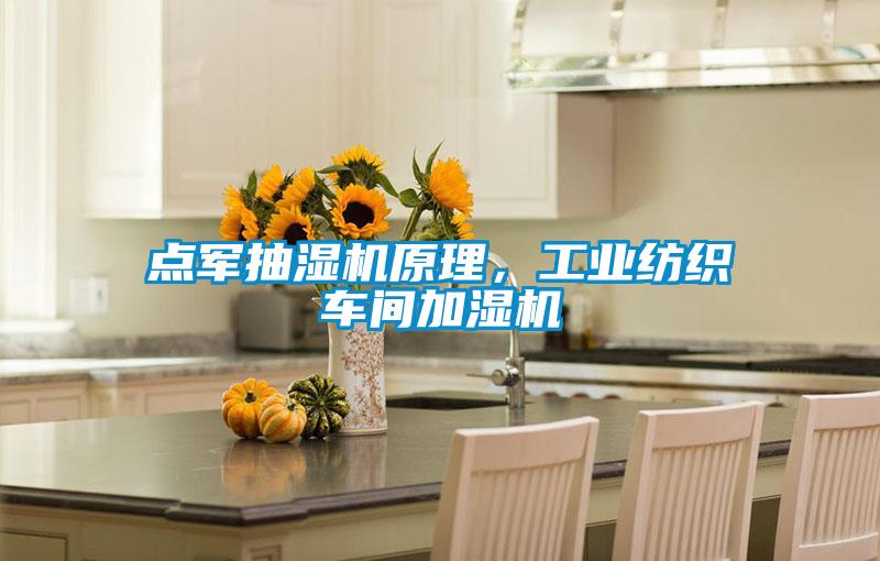 點(diǎn)軍抽濕機原理，工業(yè)紡織車(chē)間加濕機