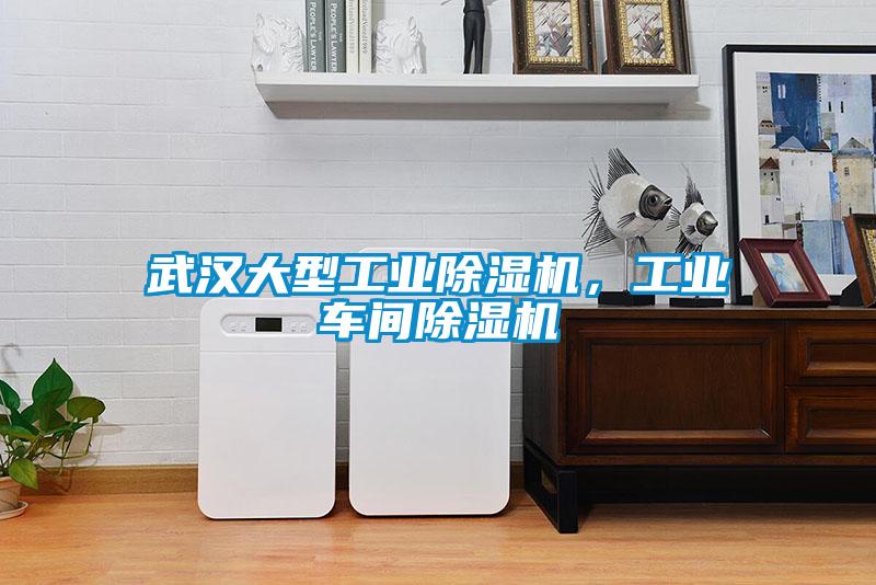 武漢大型工業(yè)除濕機，工業(yè)車(chē)間除濕機