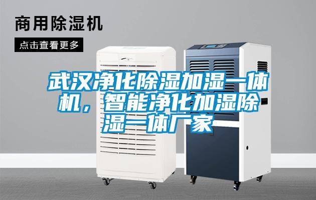 武漢凈化除濕加濕一體機，智能凈化加濕除濕一體廠(chǎng)家