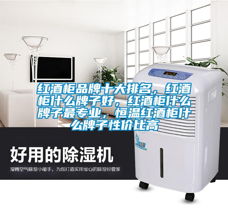 紅酒柜品牌十大排名，紅酒柜什么牌子好，紅酒柜什么牌子最專(zhuān)業(yè)，恒溫紅酒柜什么牌子性?xún)r(jià)比高