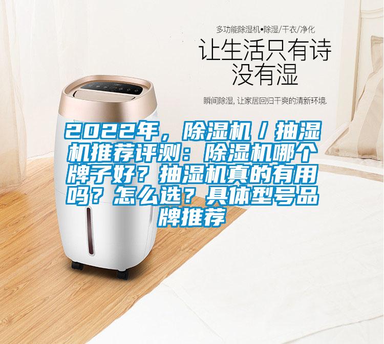 2022年，除濕機／抽濕機推薦評測：除濕機哪個(gè)牌子好？抽濕機真的有用嗎？怎么選？具體型號品牌推薦