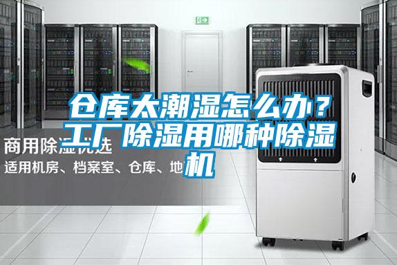 倉庫太潮濕怎么辦？工廠(chǎng)除濕用哪種除濕機