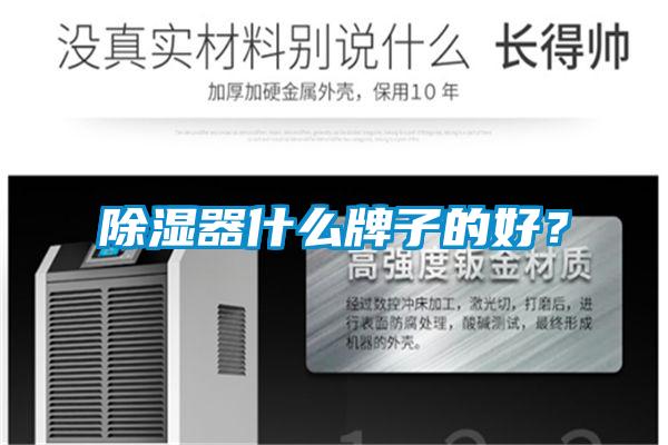 除濕器什么牌子的好？