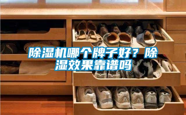 除濕機哪個(gè)牌子好？除濕效果靠譜嗎