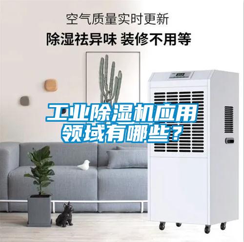 工業(yè)除濕機應用領(lǐng)域有哪些？