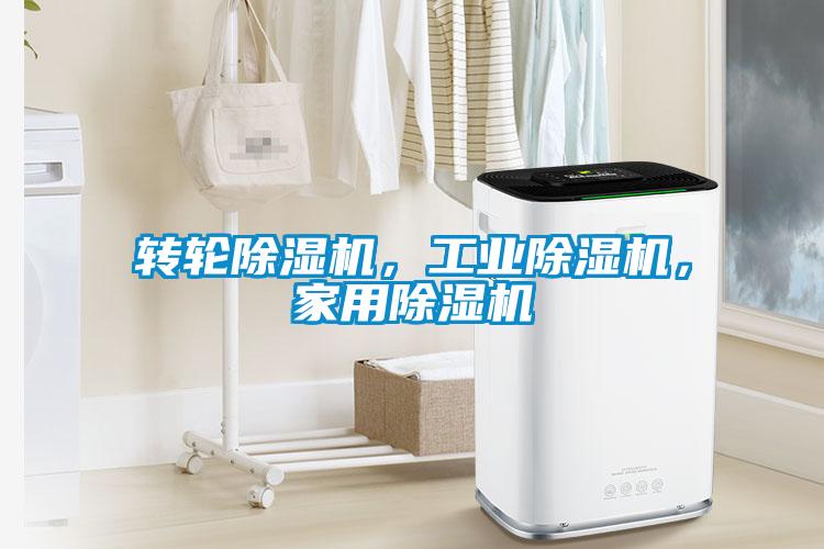 轉輪除濕機，工業(yè)除濕機，家用除濕機