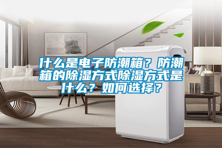 什么是電子防潮箱？防潮箱的除濕方式除濕方式是什么？如何選擇？