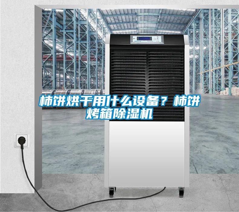 柿餅烘干用什么設備？柿餅烤箱除濕機