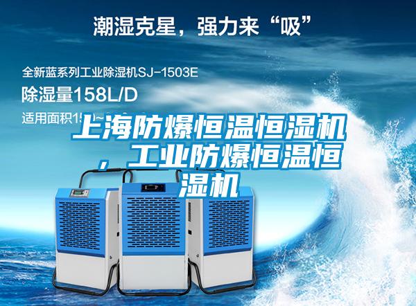 上海防爆恒溫恒濕機 ，工業(yè)防爆恒溫恒濕機