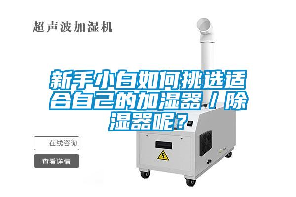 新手小白如何挑選適合自己的加濕器／除濕器呢？