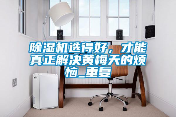 除濕機選得好，才能真正解決黃梅天的煩惱_重復