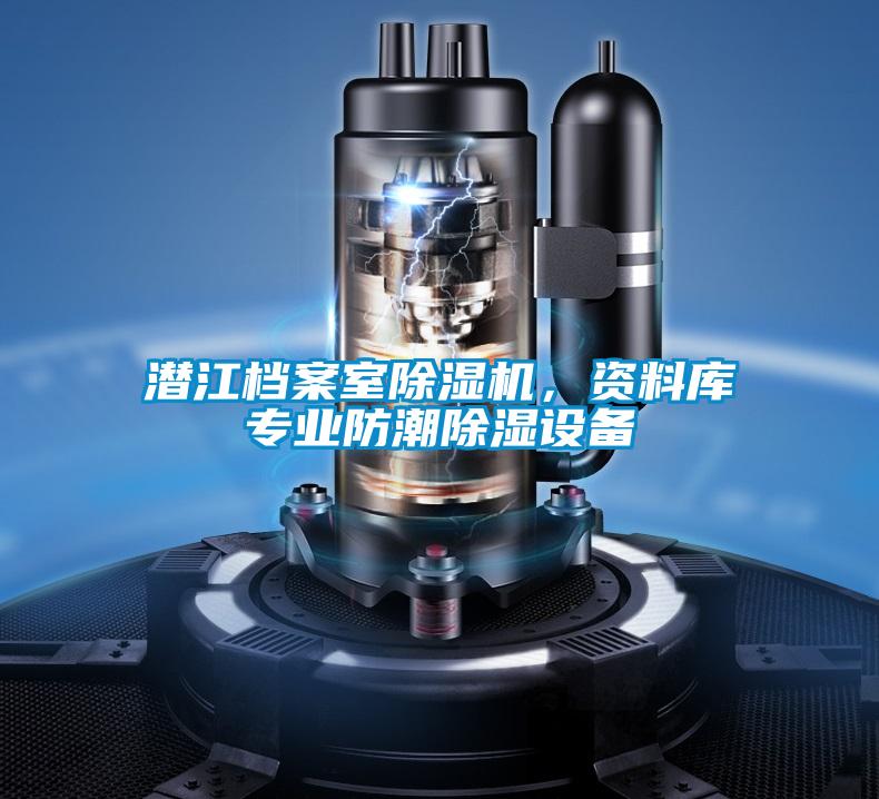 潛江檔案室除濕機，資料庫專(zhuān)業(yè)防潮除濕設備