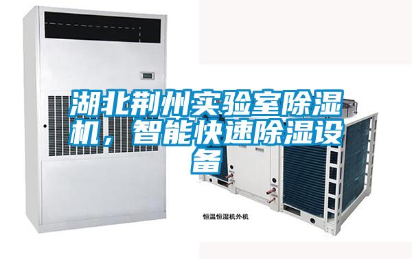湖北荊州實(shí)驗室除濕機，智能快速除濕設備