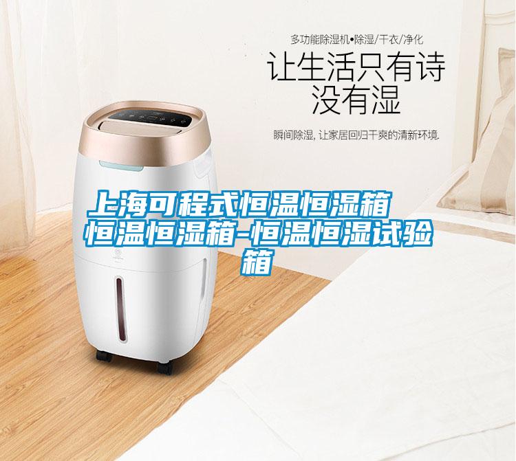 上?？沙淌胶銣睾銤裣? 恒溫恒濕箱-恒溫恒濕試驗箱