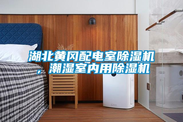 湖北黃岡配電室除濕機，潮濕室內用除濕機