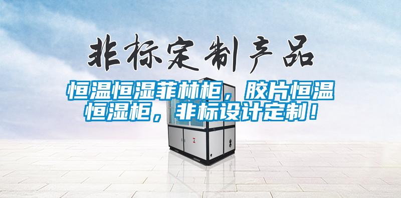 恒溫恒濕菲林柜，膠片恒溫恒濕柜，非標設計定制！