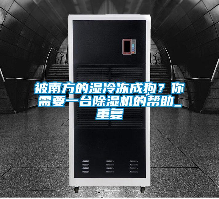 被南方的濕冷凍成狗？你需要一臺除濕機的幫助_重復