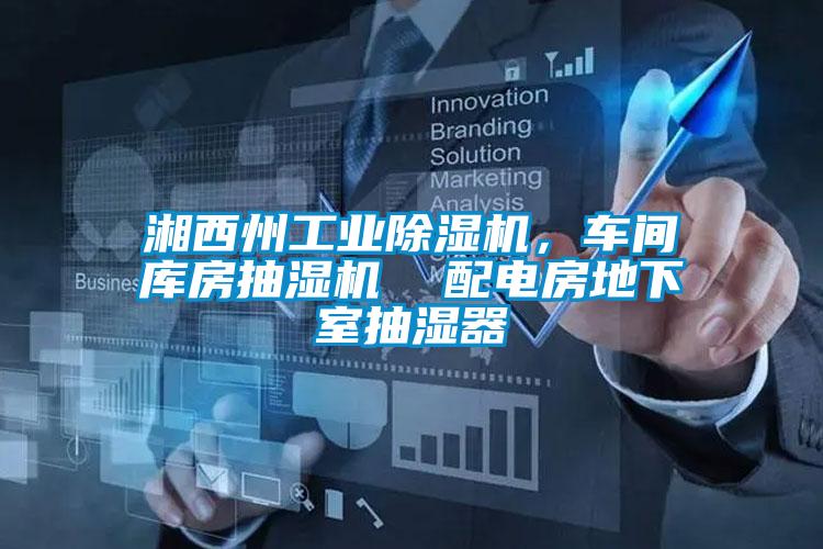 湘西州工業(yè)除濕機，車(chē)間庫房抽濕機  配電房地下室抽濕器