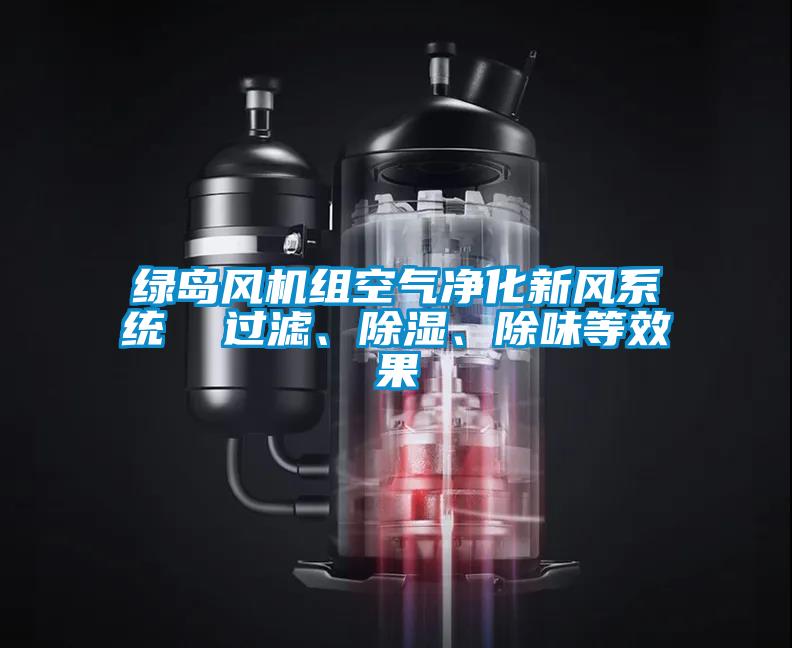 綠島風(fēng)機組空氣凈化新風(fēng)系統  過(guò)濾、除濕、除味等效果