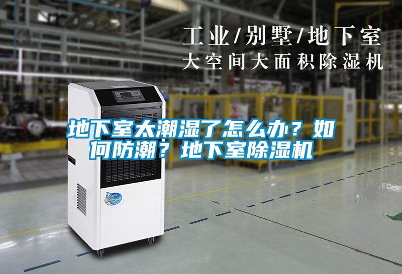 地下室太潮濕了怎么辦？如何防潮？地下室除濕機