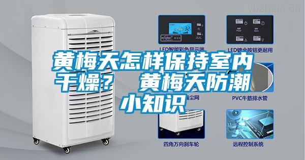 黃梅天怎樣保持室內干燥？ 黃梅天防潮小知識