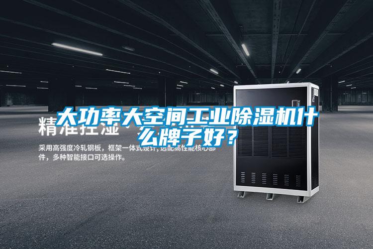 大功率大空間工業(yè)除濕機什么牌子好？