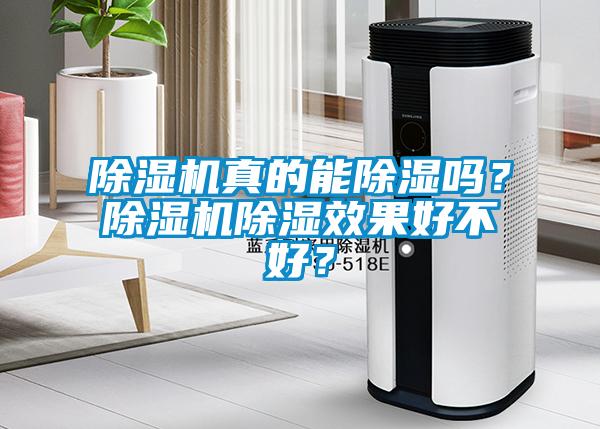 除濕機真的能除濕嗎？除濕機除濕效果好不好？