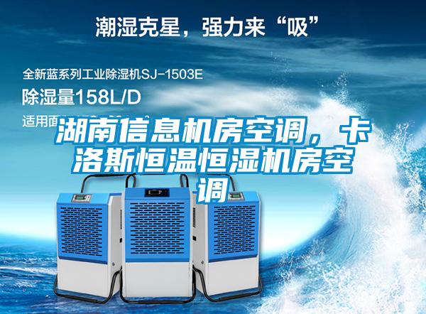 湖南信息機房空調，卡洛斯恒溫恒濕機房空調